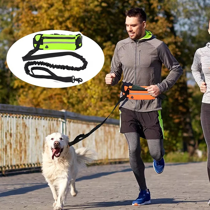 Smycz dla psa bez użycia rąk d – Running Gear Belt recenzja i cena